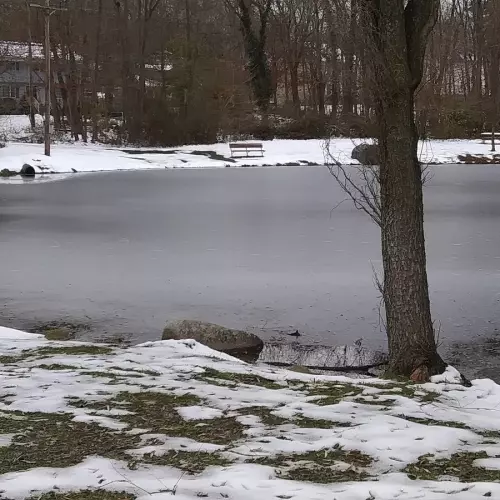 spring valley Photo