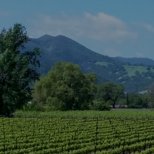 St. Helena Photo