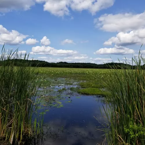 Sudbury Photo