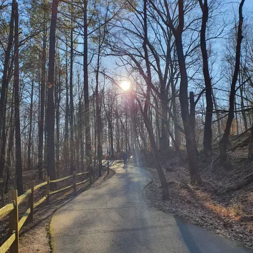 Suwanee Photo