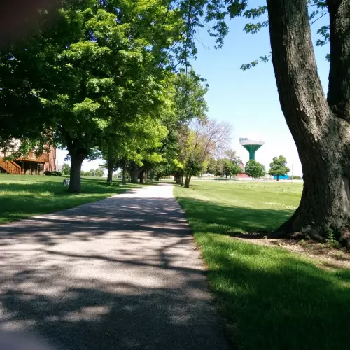 Sycamore Photo