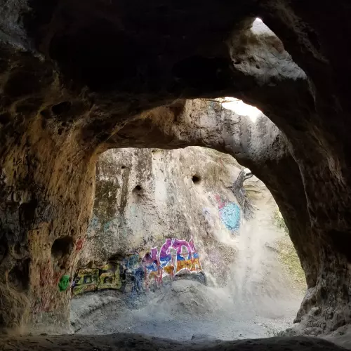 Tarzana Photo