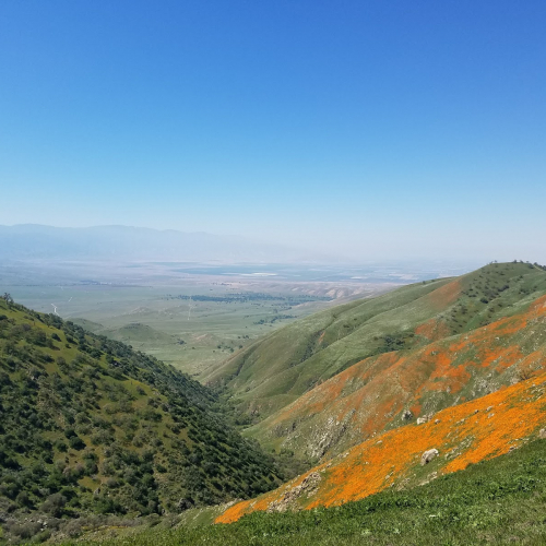 Tehachapi Photo