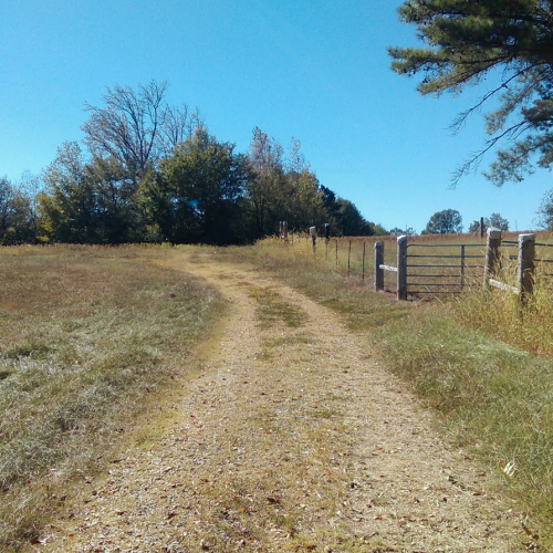 Thaxton Photo