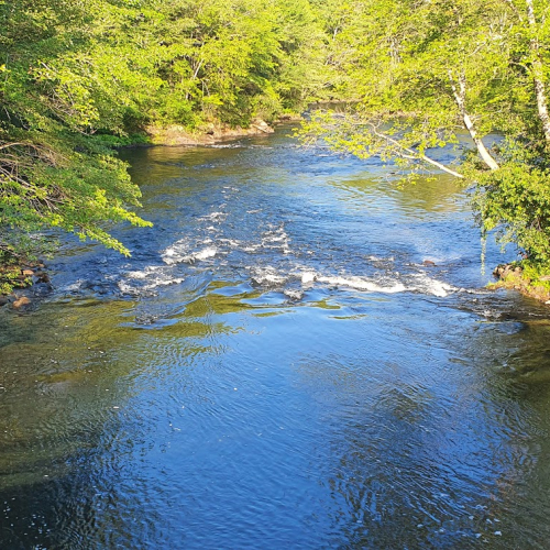 Tilton Photo