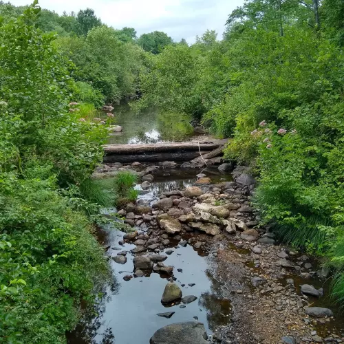 Torrington Photo