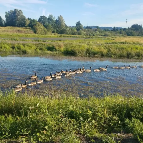 Tualatin Photo