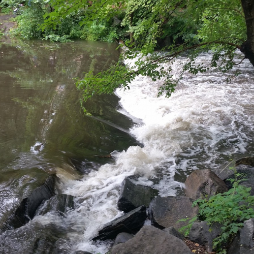 Tuckahoe Photo