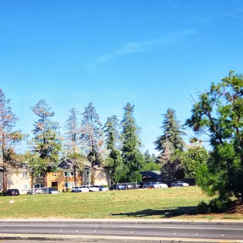 Turlock Photo