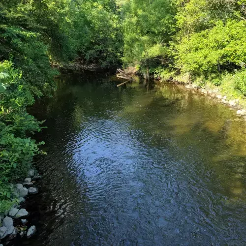 Twinsburg Photo