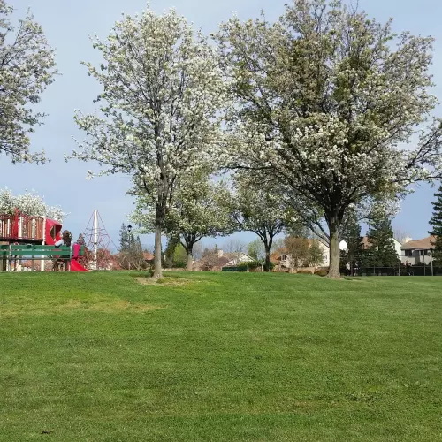 Vacaville Photo