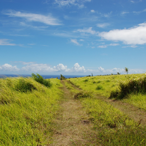 Waimea Photo