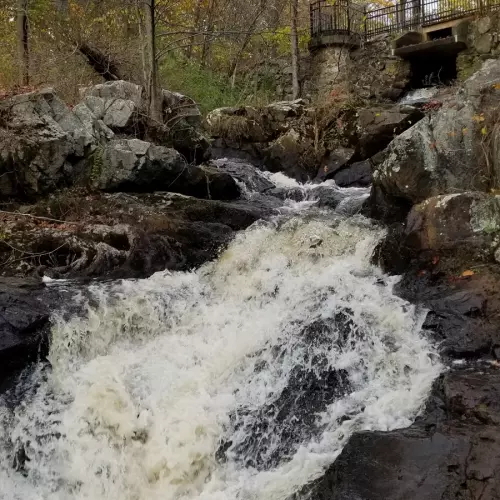 WALTHAM Photo