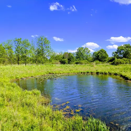 Warrenville Photo