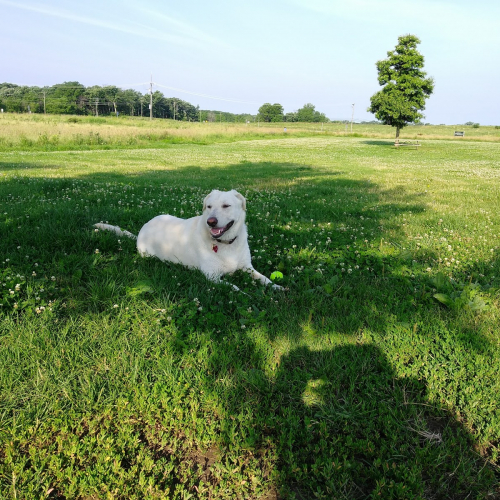 Wauconda Photo