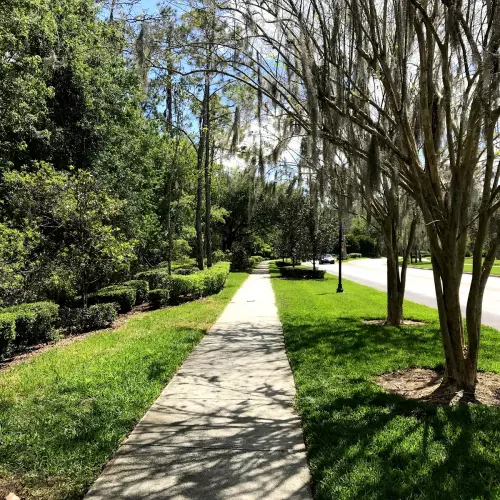 Wesley Chapel Photo