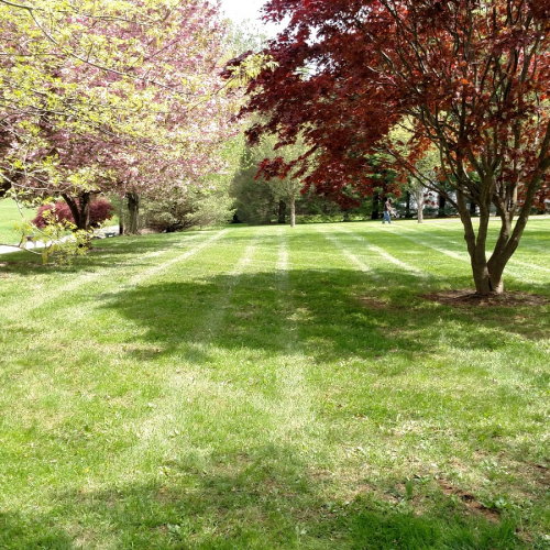 West Grove Photo