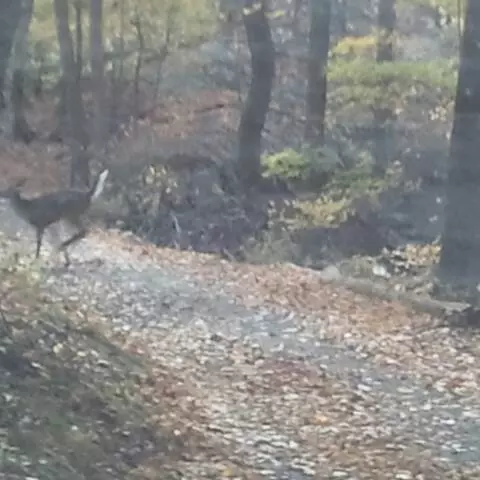 West Milford Photo