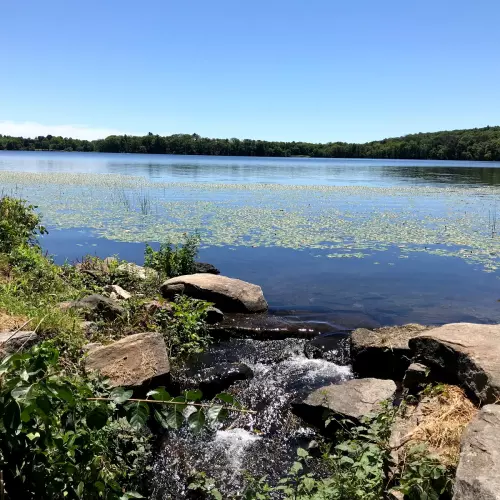 Westborough Photo