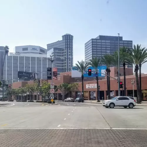 Westwood Photo