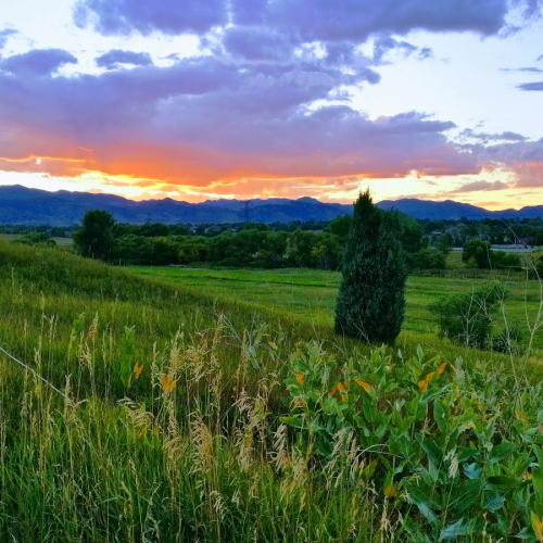 Wheat Ridge Photo