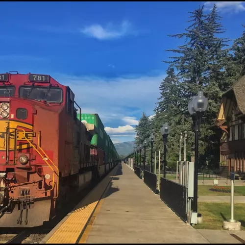 Whitefish Photo