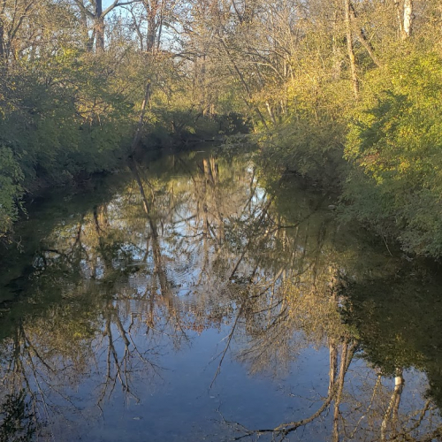 Whites Creek Photo