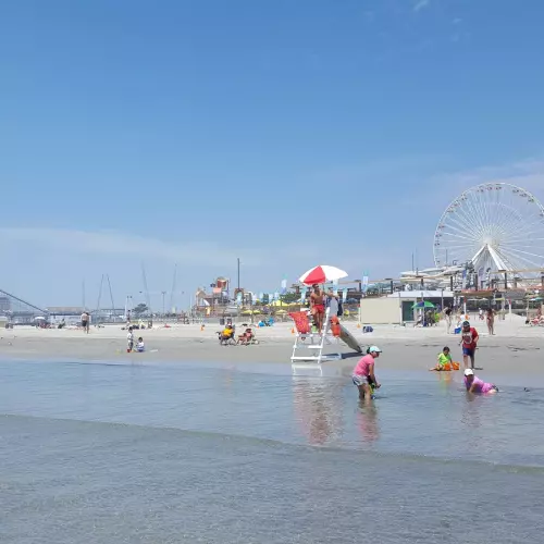 Wildwood Photo