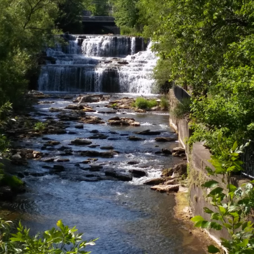 Williamsville Photo