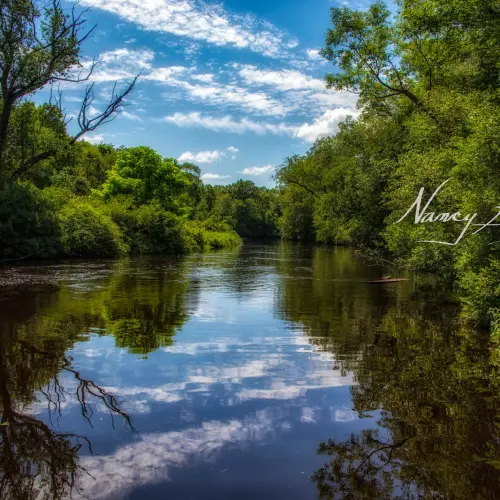 Willington Photo