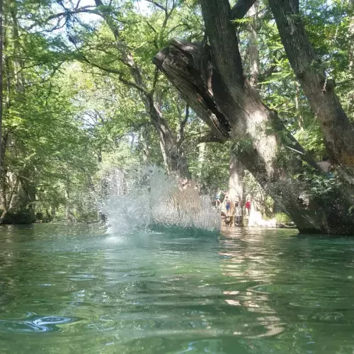 Wimberley Photo