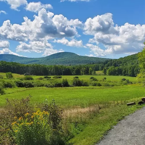 Windham Photo