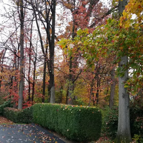 Wyckoff Photo