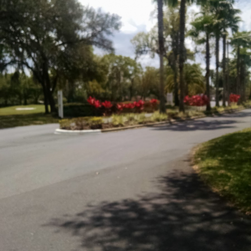 Zephyrhills Photo