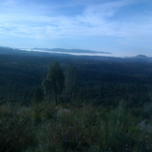 Zion Photo