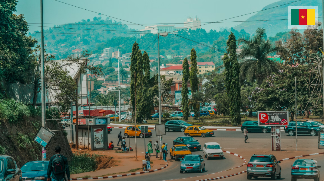 ICT in Cameroon: Genuine Data & Profile
