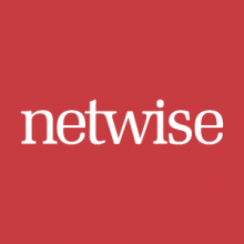 netwise Logo