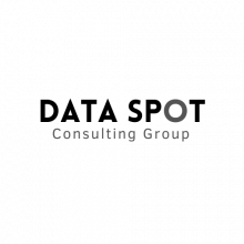DataSpot Consulting Group Logo