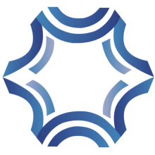 Digisecuritas Pvt. Ltd. Logo