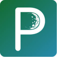 Perigeon Software Logo