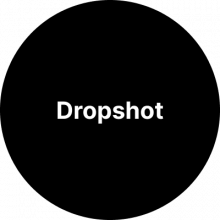 Dropshot Agency Logo