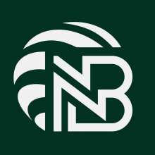 NetBounce Global LLC Logo