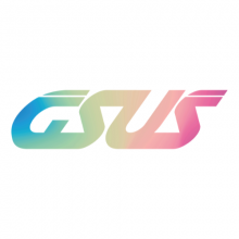 GSUS STAR SOFTWARE SOLUTIONS PVT LTD Logo