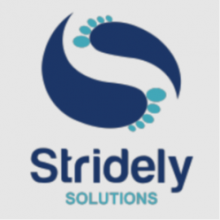 Stridely Solutions India Pvt. Ltd Logo