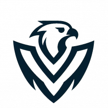 techinhawk Logo