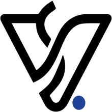 VisualSoft Global Logo