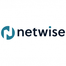 netwise Logo