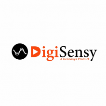 Digisensy Logo