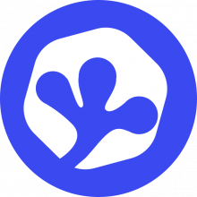 Gecode | Software House Logo