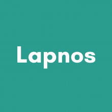 Lapnos | International Development Firm Logo